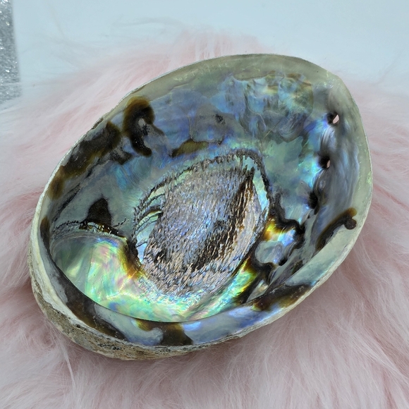 Rainbow Abalone Shell Smudging Bowl Incense Holder & Crystal Trinket Bowl - Picture 6 of 7